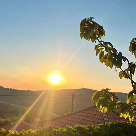 Quinta Natureza De Coura Paredes de Coura