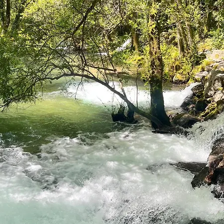 Quinta Natureza De Coura Hébergement de vacances